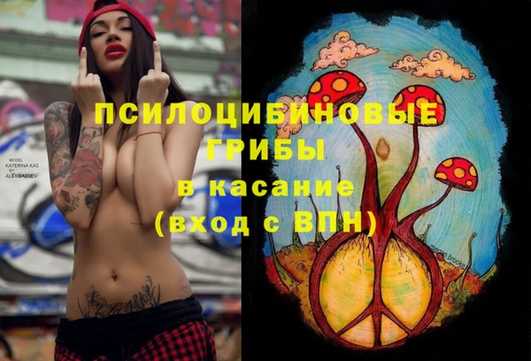 ECSTASY Верея