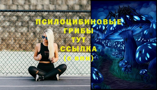 ECSTASY Верея