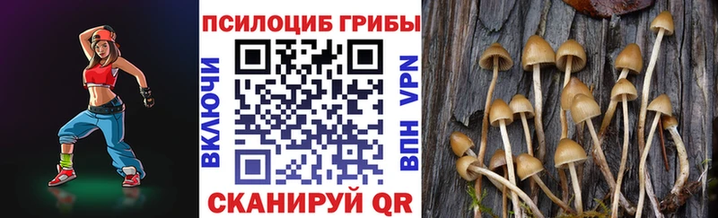Галлюциногенные грибы прущие грибы  наркотики  ОМГ ОМГ вход  Вытегра 